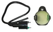 Ignition Coil For APACHE RLX 250 FIT QUADZILLA Quad CDI 2 Spade Black