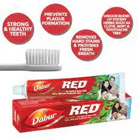 在飛比找蝦皮購物優惠-Dabur 草本牙膏 100g - 牙膏 dabur 紅色 