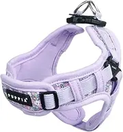 [Puppia] Kealoha Dog Harness X Fashionable Flower Pattern Spring Summer Harness for Small and Medium Dogs, Violet, Medium