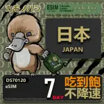 【鴨嘴獸 旅遊網卡】日本ESIM 7日吃到飽 高流量網卡(日本上網卡 免換卡 高流量上網卡)