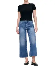 DL1961 Hepburn High Rise Wide Leg Petite Jeans in Driggs