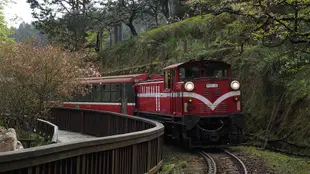 高鐵自由行-嘉義阿里山住宿自選｜祝山來回票+森林遊樂區門票(新竹出發)