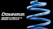 ESPELIR (Hesperia) [DOWNSUS] Rear Skyline Crossover_Skyline_Crossover ESN-2080R ESN-2080R