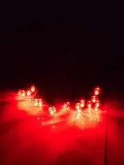 20 Red LED String Lights, Battery Operated, Green Wire 10ft
