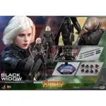 ‼️24H出貨‼️HOTTOYS MMS460 復仇者聯盟 黑寡婦 BLACKWIDOW 非MMS365 MMS533