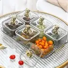 Plastic Dried Fruits Storage Box With Lid Serving Platter Home
