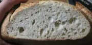 SAN FRANCISCO SOURDOUGH bread YEAST STARTER flour baking "sally" + recipes @
