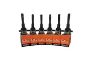 Pack of SWAN Ignition Coils & NGK Spark Plugs for BMW M3 S50 B30 (3.0L)