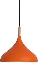 Colorful Wood Metal Pendant Light Fixture for Over Kitchen Island, Nordic Minimalism Pendant Lighting for Dining Table, Simple Retro Rustic Hanging Lamp, Farmhouse Ceiling Chandelier (Orange,9.4in)