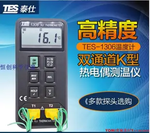 臺灣泰仕 TES-1307 記憶式溫度表 雙通道溫度計 （RS232）