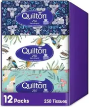 Quilton Hypo Allergenic 2 Ply 250 Facial Tissues Pack, 12 Packs Comfort for Skin