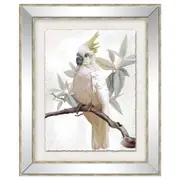 [Florabelle Living] Vintage Cockatoo Framed Print