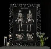 POSTER PRINT Spooky Skeletons on Black Chalkboard Background Skeleton Wall Art