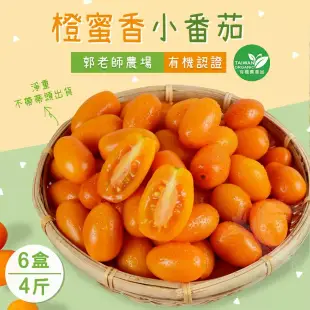 【禾鴻】郭老師農場有機認證橙蜜香小番茄禮盒4斤x6盒(淨重不帶蒂頭出貨) 下單後7個工作天出貨
