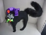 ANNALEE DOLL 8 IN SPIDER WEB WITCH MOUSE HALLOWEEN