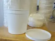 Maui Cup 64 oz containers w/ lids for a total of 40 of each white & reusable