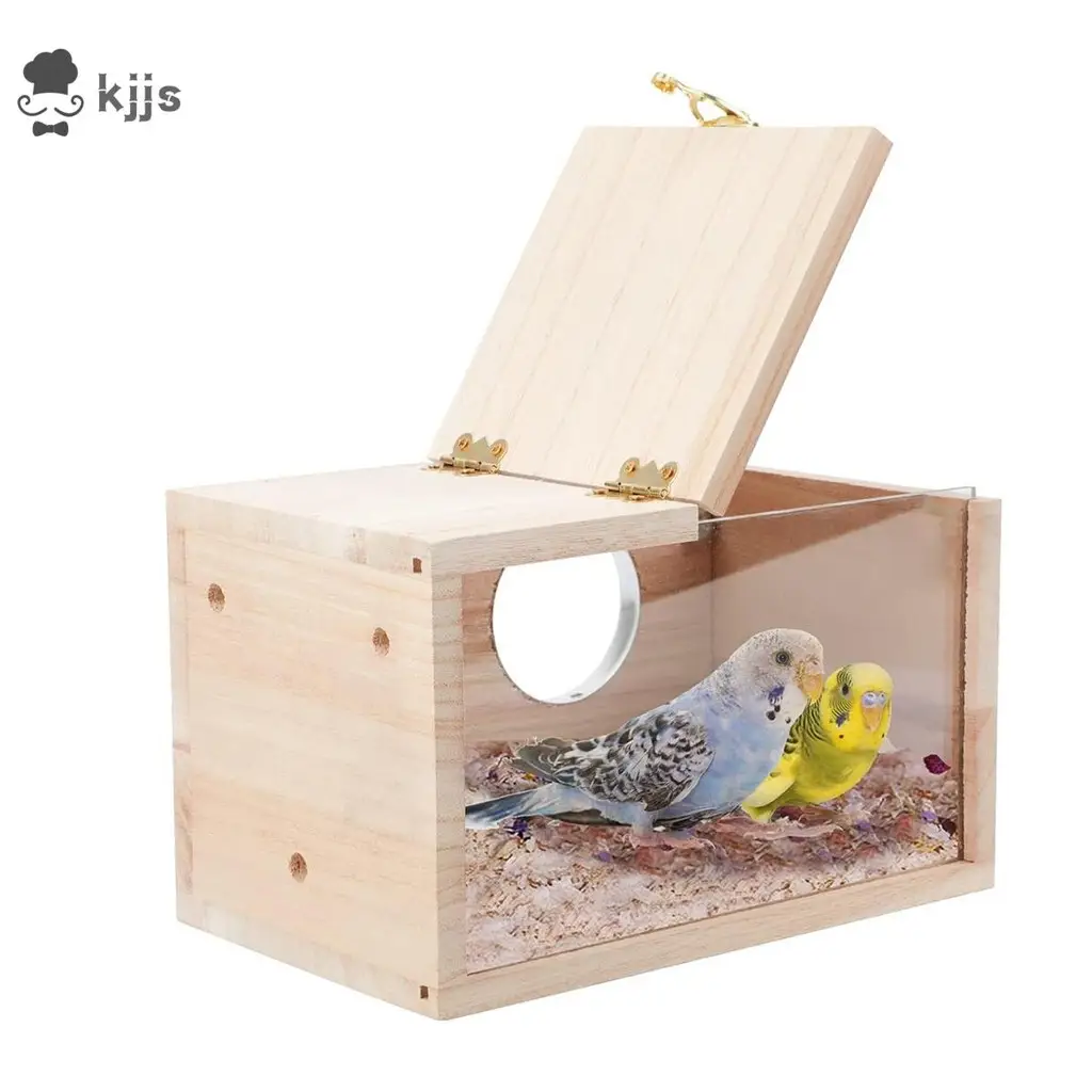 愛情鳥鸚鵡的價格推薦- 2026年01月|飛比價格