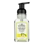 J.R. Watkins - Hand Soap Foam Lemon 9 fl. oz (Pack of 3)