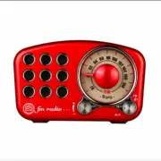 Valentines Gift Portable Radio FM Bluetooth Speaker Rechargeable Great Sound