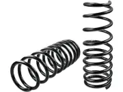 For 2005 Saturn Relay Coil Spring Set Rear APR 52867JBXW Mini Passenger Van