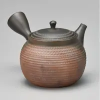 在飛比找蝦皮商城精選優惠-現貨 日本製 常滑燒 玉光窯 蜂巢濾網 陶瓷茶壺 側把壺 泡