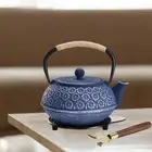 Cast Iron Tea Kettle Tea Maker Internal Enamel for Loose Tea Coffee Teahouse