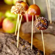 BAMBOO SKEWERS 12" (100) FREE SHIPPING US ONLY