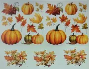 Water Slide Decals Pumpkins And Leaves For Ceramics And Crafts. Not For Kilbs