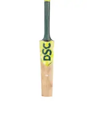 DSC Invincible Slay Cricket bat