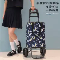 在飛比找蝦皮商城精選優惠-JH現貨  買菜車小拉車家用購物車小拖車摺疊輕便拉桿車老人爬