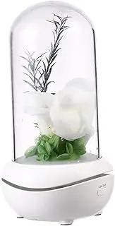 [KITANDOVE] Eternal Flower Design Aromatherapy Diffuser Car Humidifier Charging Essential Oil Humidifier for Spa