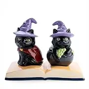 MDI Black Cat Salt and Pepper Set