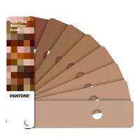 在飛比找momo購物網優惠-【PANTONE】Skin Tone Guide 膚色指南色