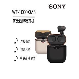 適用Sony/索尼 WF-1000XM3 1000XM4真無線主動降噪藍牙耳機降噪豆
