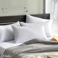 在飛比找momo購物網優惠-【La Belle】航太石墨烯抑菌可水洗舒眠枕