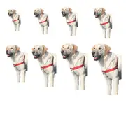 [Elite Pet Products] Gentle Leasder Easy Walk Dog Harness - Petite/Small