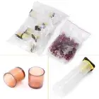 Complete Queen Rearing Cupkit System Bee Beekeeping Catcher Box +100 Cell Cups t
