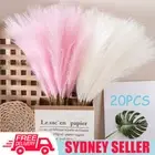 20PCS Natural Dried Pampas Grass Reed Flowers Bunch Wedding Bouquet Home Decor A
