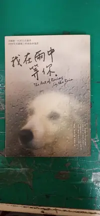 在飛比找露天拍賣優惠-《我在雨中等你》賈斯史坦 圓神 9789861332420 