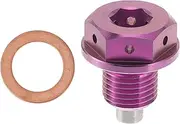 X AUTOHAUX M12x1.25 4MM Magnetic Oil Drain Plug Titanium Alloy Oil Pan Drain Bolt Plug with 1 Copper Washer Rose Color 1 Pc