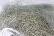 BULK 250g bird swamp grass nesting nest material for finches canaries