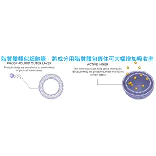 美國 Renue by Science Lipo-Fisetin 脂質體漆黃素 小罐分裝 12顆 24顆