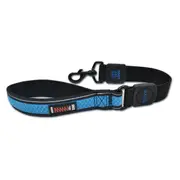 Scream Reflective Bungee Leash With Padded Handle Loud Blue