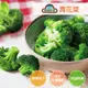 【GREENS】冷凍蔬菜系列1000g_青花菜 3包組