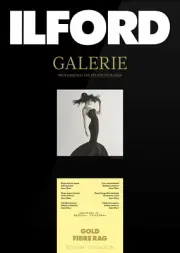ILFORD GALERIE GOLD FIBRE RAG 270 GSM 17" 43.2 CM X 12M ROLL GGFR