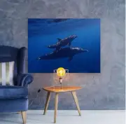 sea-dolphin-blue-underwater- high quality wall Canvas wall art home decor
