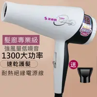 在飛比找PChome24h購物優惠-達新牌 1300W沙龍級專業吹風機 TS-7588