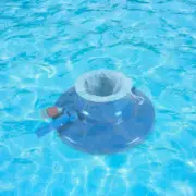pool Leaf Catcher For Pool Vacuum Pool Leaf Canister Leaf Collector