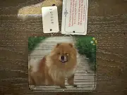 Chow Boardwalk Dog Bejeweled Mini Fashion Wallet Blossom Collection Puppy Wallet