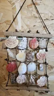 Sea Shells Home Decor - Philippine Made